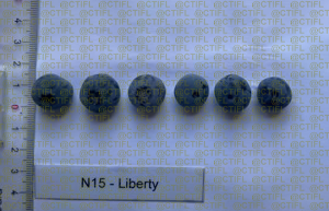 Evaluation variétale myrtille - Fruits de Liberty® après récolte